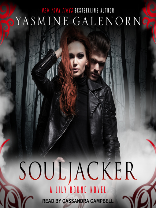 Cover image for Souljacker